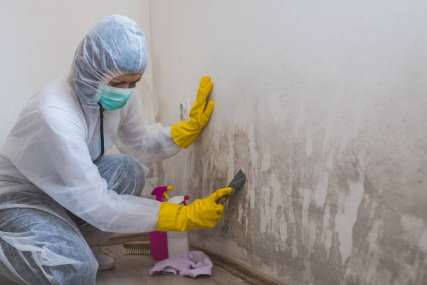 Best Crawl Space Mold Removal  in Ocean Pines, MD